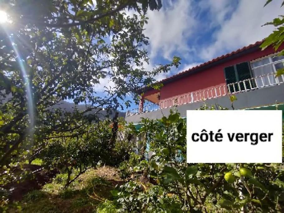 Sea Mountain House Vila Machico  Exterior foto