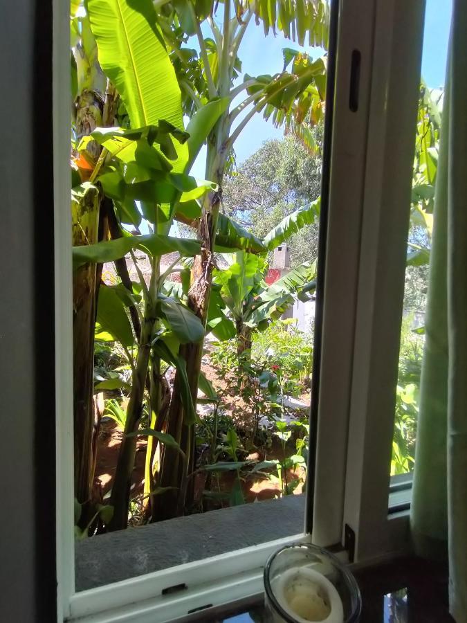 Sea Mountain House Vila Machico  Exterior foto